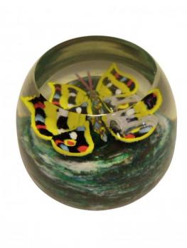 Glass Paperweight - glass - 1930 Glass Paperweight - glass - 1930