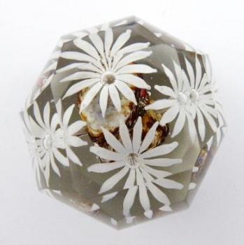 Glass Paperweight - glass - 1925 Glass Paperweight - glass - 1925